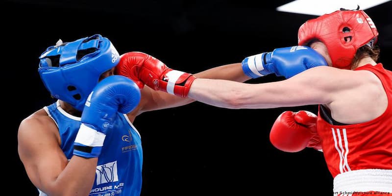 cá cược boxing Kinh nghiệm phân tích trước khi cá cược boxing