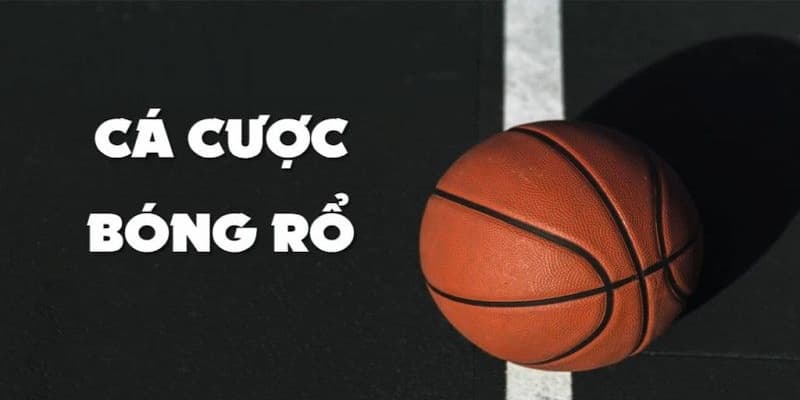 Tổng quan về cá cược bóng rổ tại 8xbet