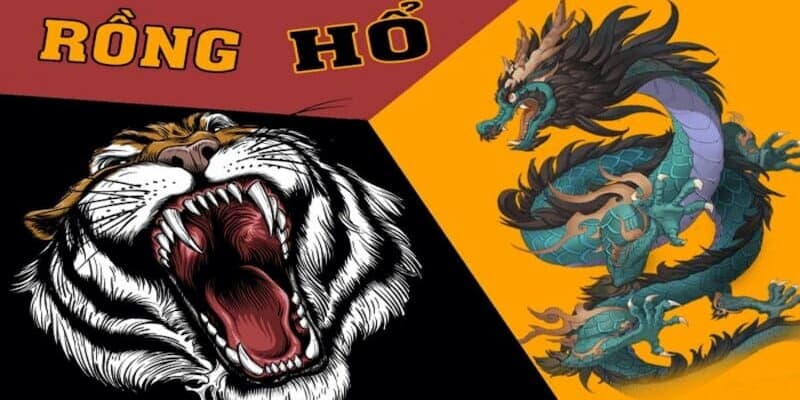 Giới thiệu tổng quan về kỹ năng chơi bài rồng hổ