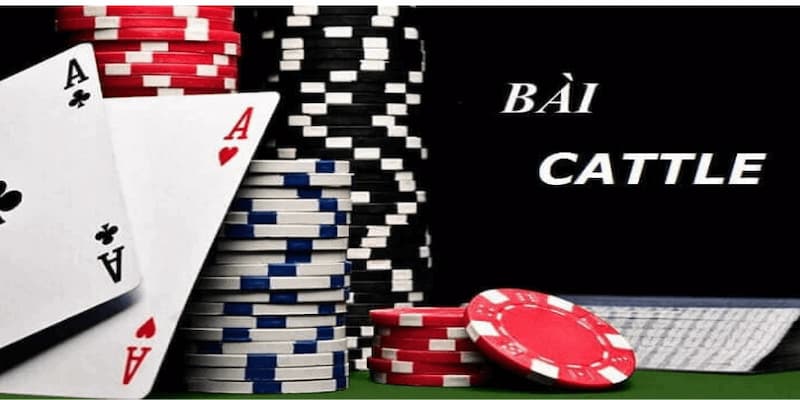 kinh nghiệm chơi bài Catte Tìm hiểu về trò chơi và kinh nghiệm chơi bài Catte