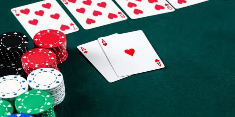 Kinh nghiệm chơi bài Catte  Kinh nghiệm chơi bài Catte nâng cao tại 8xbet